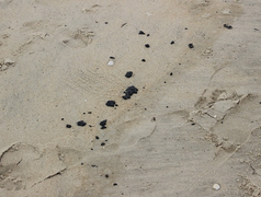 Dầu hắc vón cục tấp vào bờ biển Tam Thanh